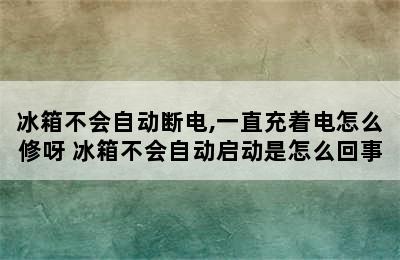 冰箱不会自动断电,一直充着电怎么修呀 冰箱不会自动启动是怎么回事